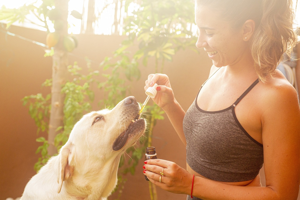 Olio CBD per animali domestici