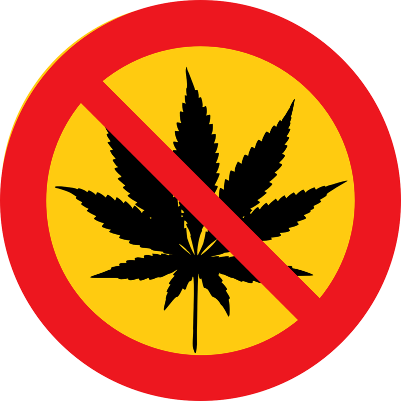 cannabis light illegale