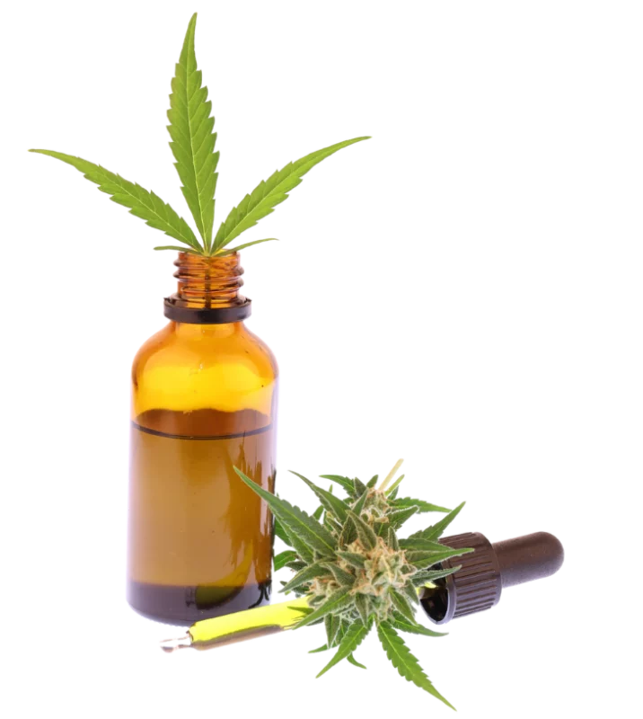 benefici dell'olio cbd